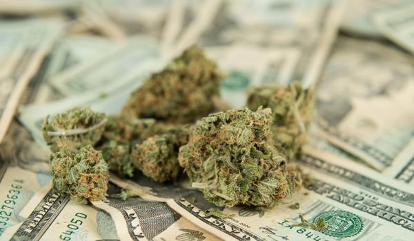 How Much Does Cannabis Insurance Cost?